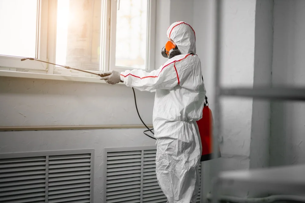 Professional mold remediation services in Hasbrouck Heights, NJ